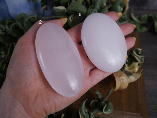 Mangano Calcite Palm Stone [various]