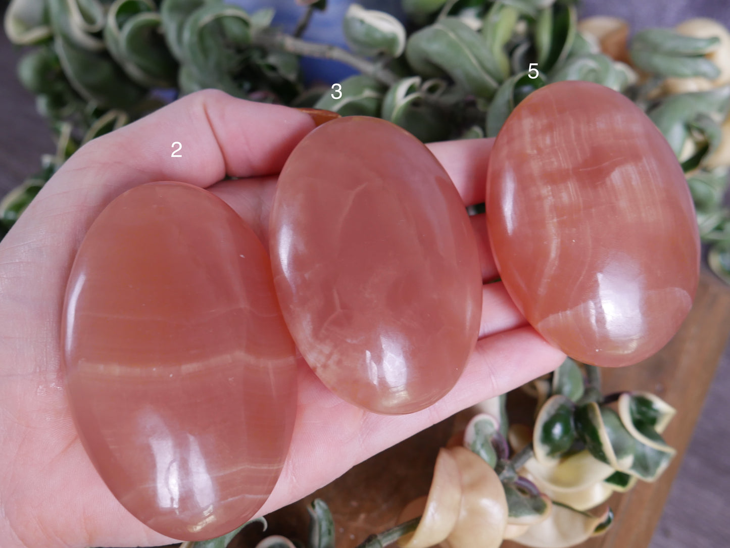 Honey Calcite Palm Stone [various]