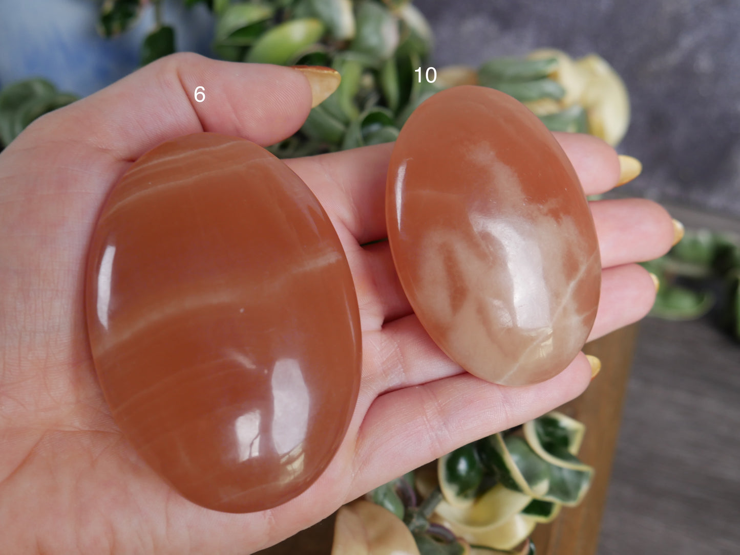 Honey Calcite Palm Stone [various]