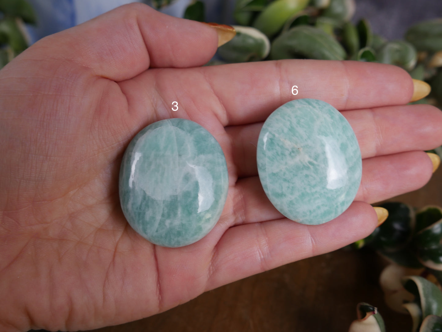 Amazonite Mini Palm Stone [various]