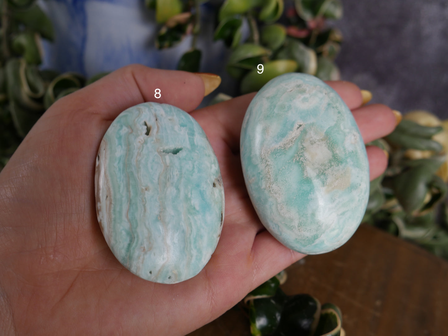 Blue Aragonite Palm Stone [various]