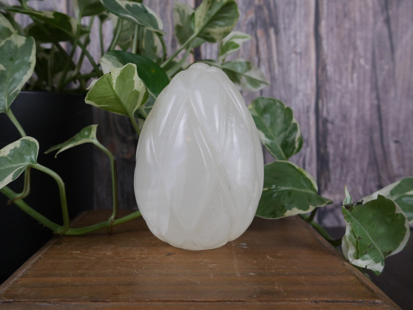 White Calcite Dragon Egg - XL