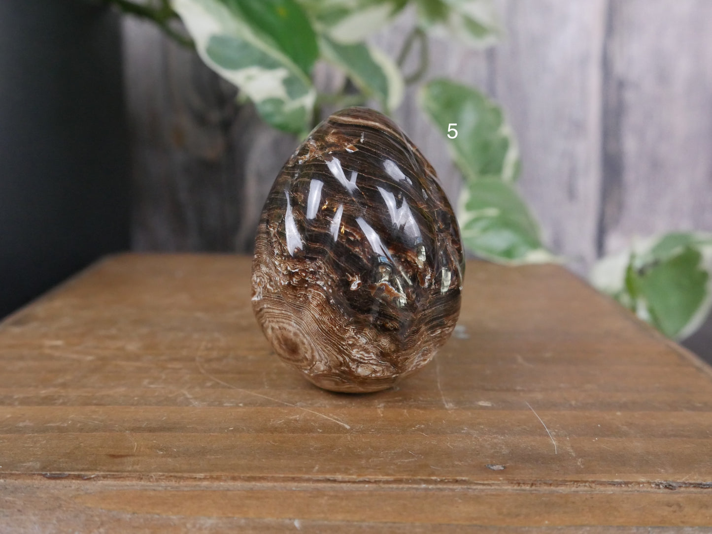 Chocolate Calcite Dragon Egg [various]