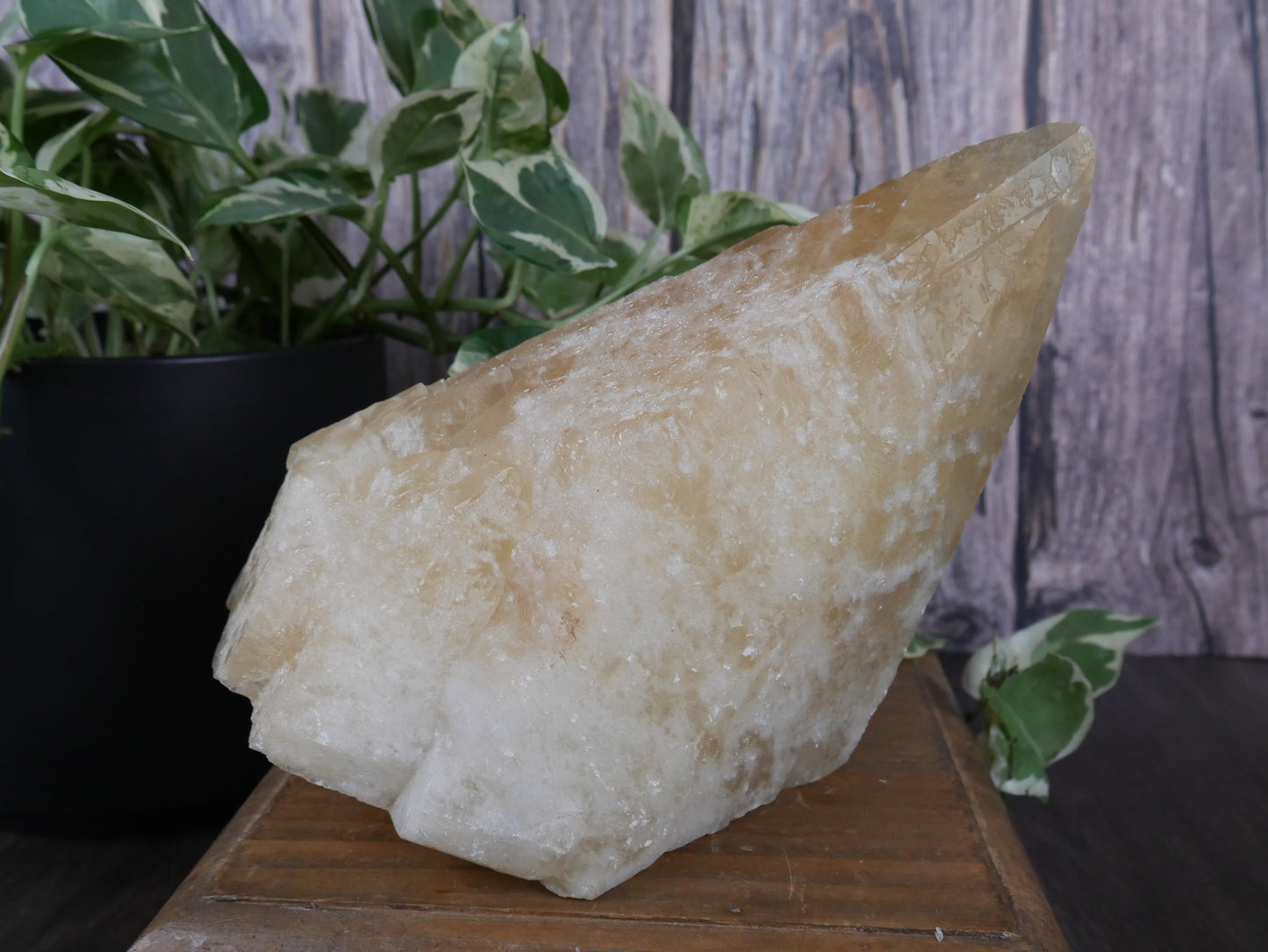 Lindwood Calcite - XL