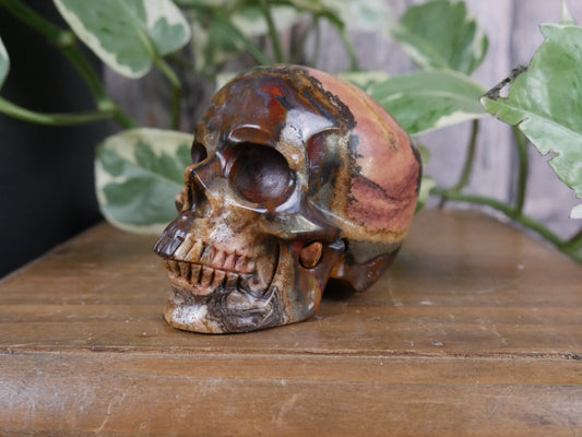 Australian Outback Jasper Skull #3