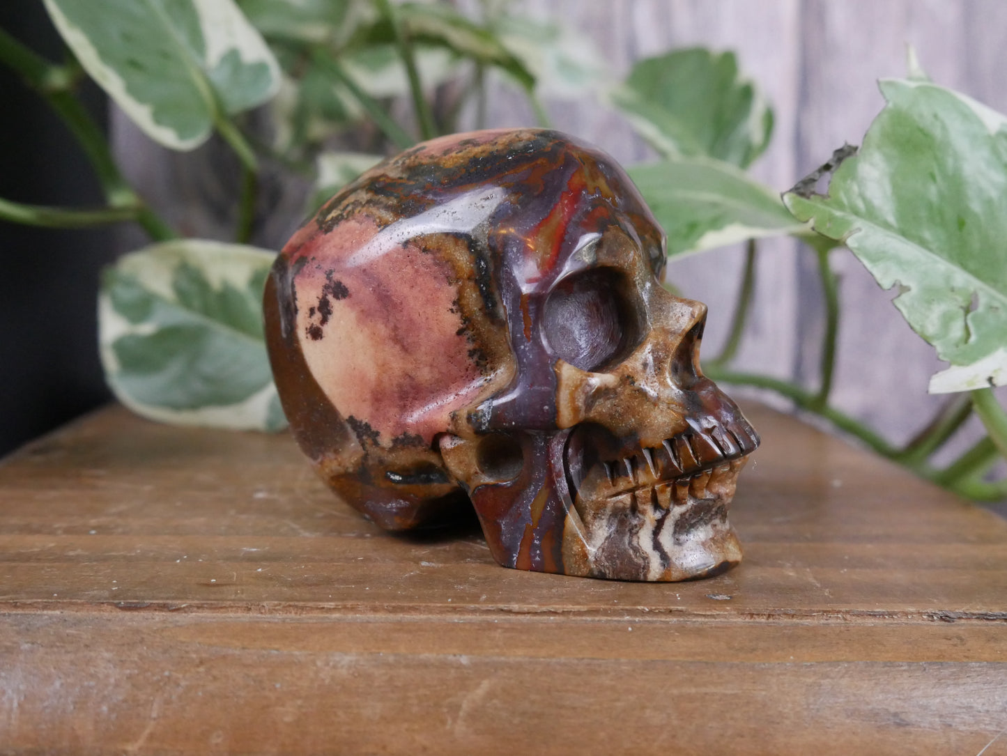 Australian Outback Jasper Skull #3