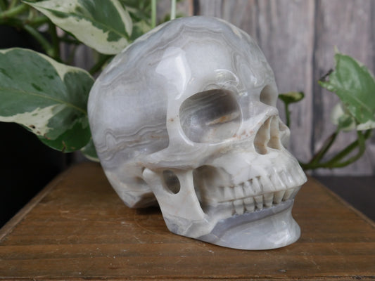 White Agate Skull