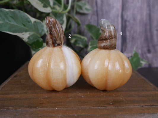 Orange Calcite Pumpkin [various]