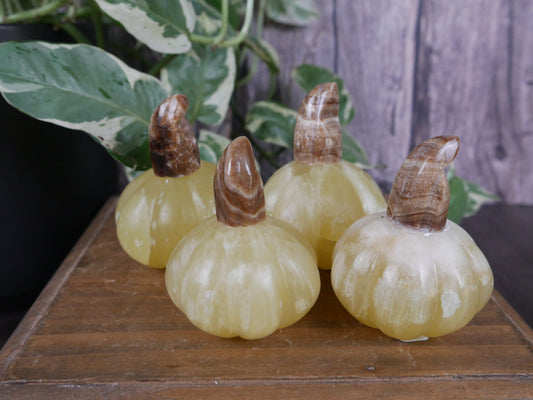 Lemon Calcite Pumpkin [various]