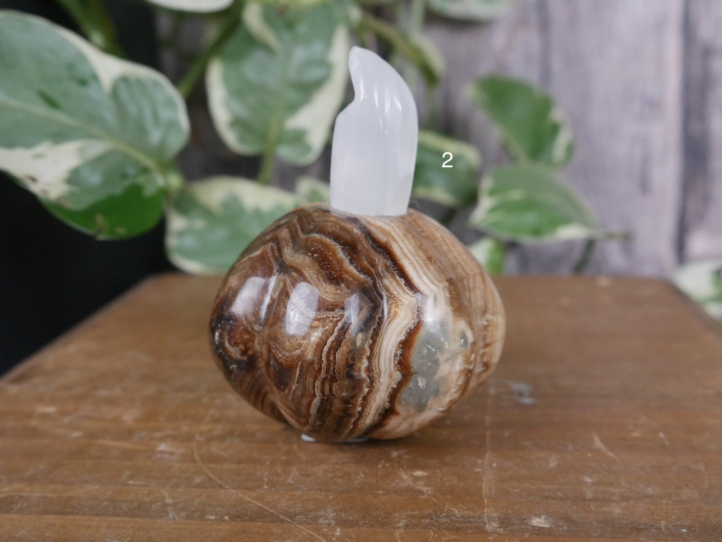 Chocolate Calcite Pumpkin [various]