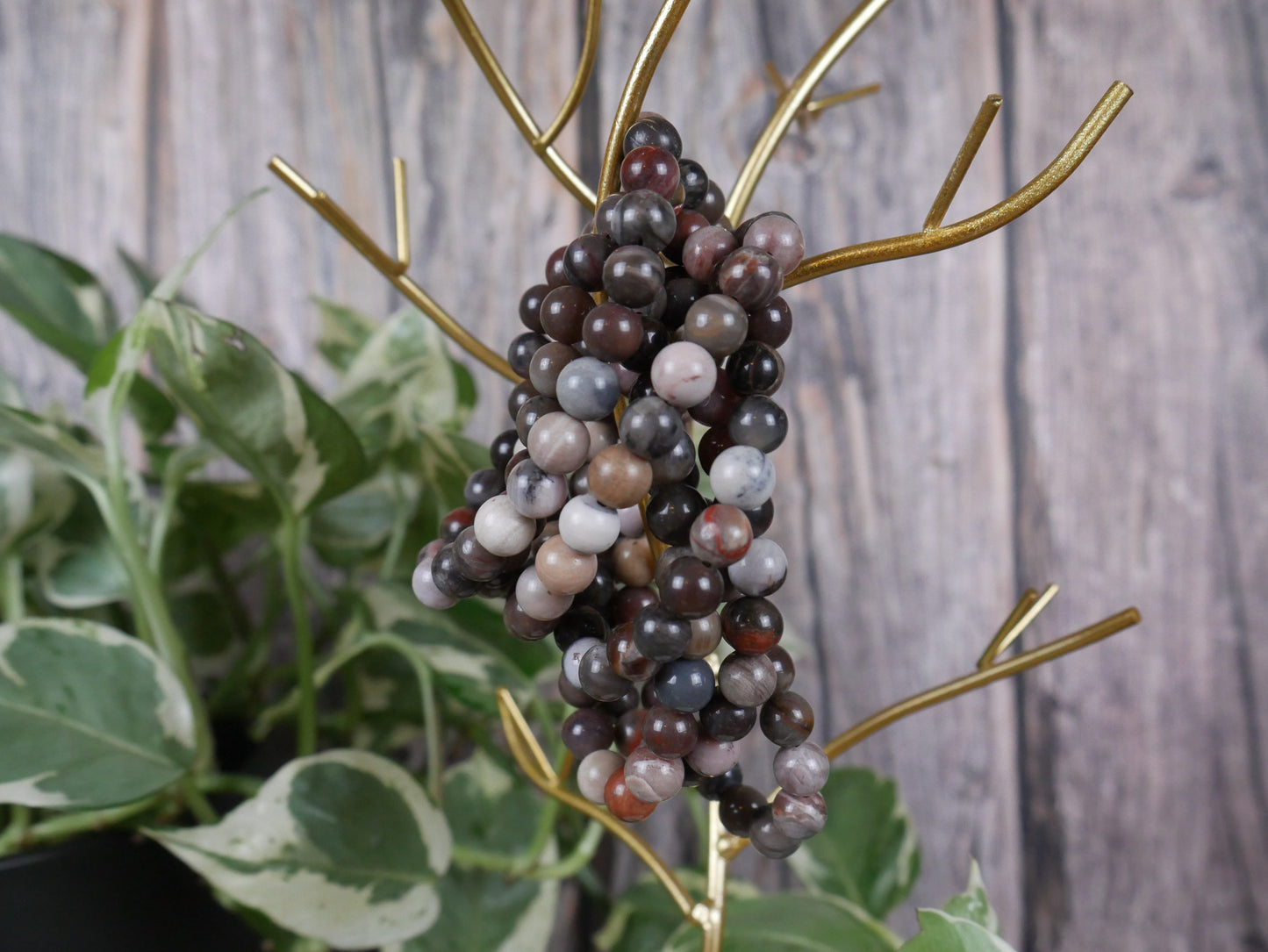 Petrified Wood Bracelet