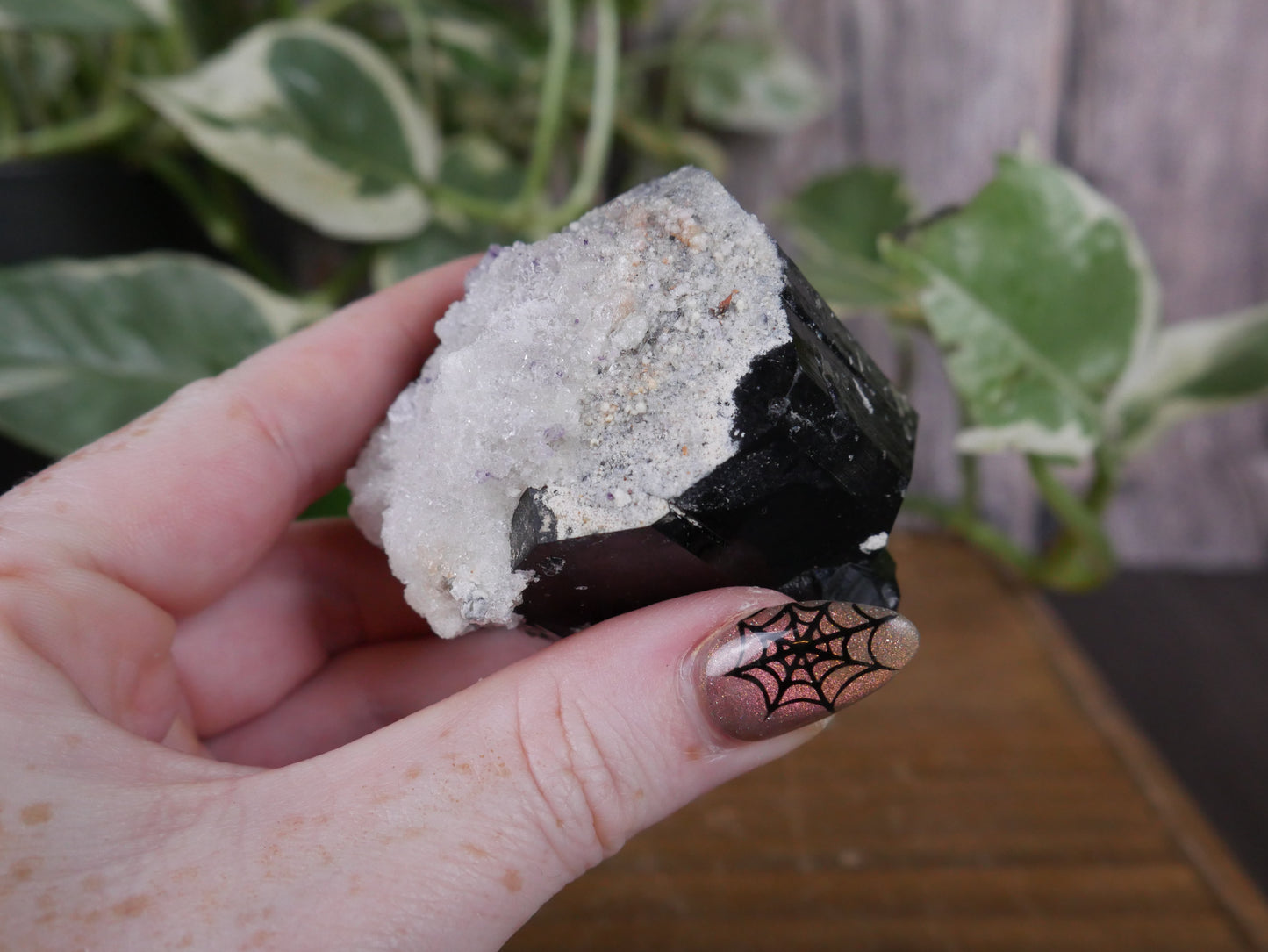 Black Tourmaline, Smokey Quartz, Hyalite Opal Specimen #15