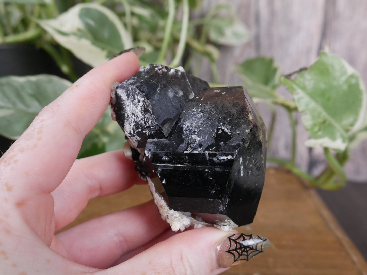 Black Tourmaline, Smokey Quartz, Hyalite Opal Specimen #17