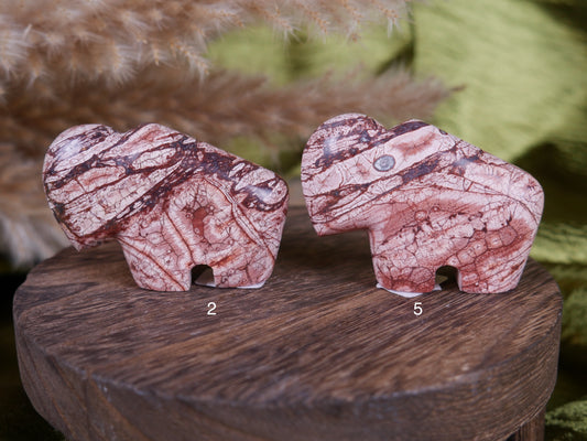 Bird's Eye Rhyolite Buffalo