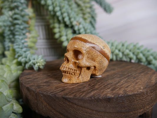 Picture Jasper Skull