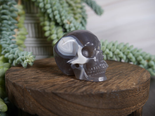 Agate Skull