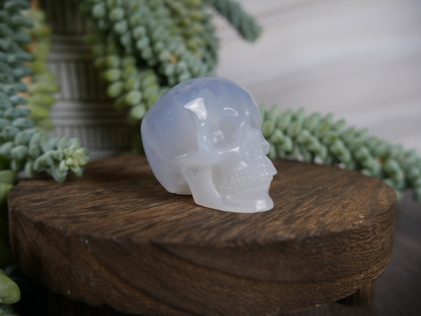 Blue Chalcedony Skull