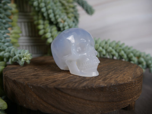 Blue Chalcedony Skull