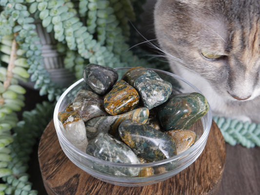 Ocean Jasper Tumble