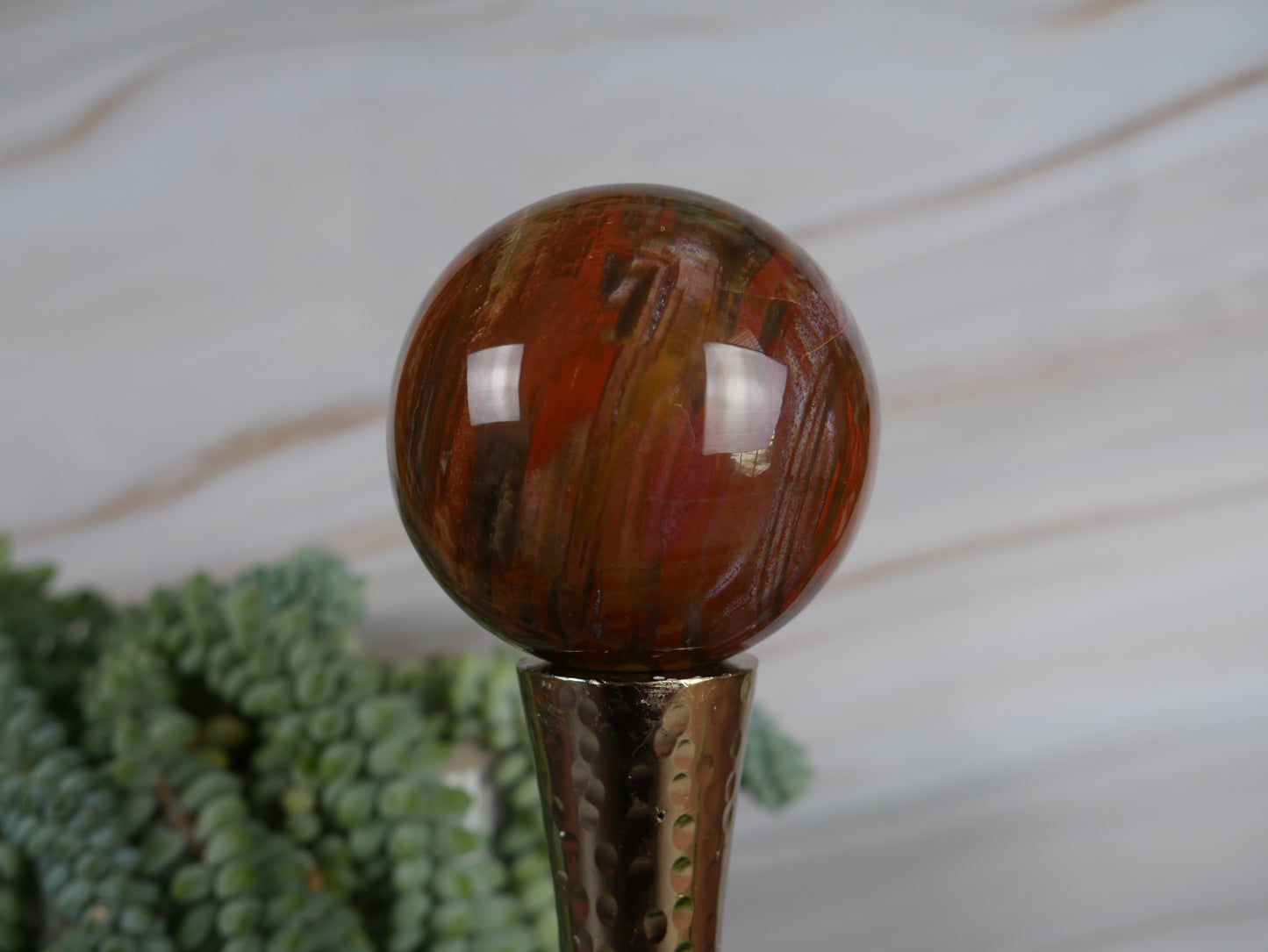 Petrified Wood Sphere