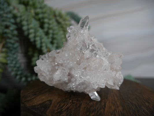 Columbian Pink Lemurian Quartz Cluster