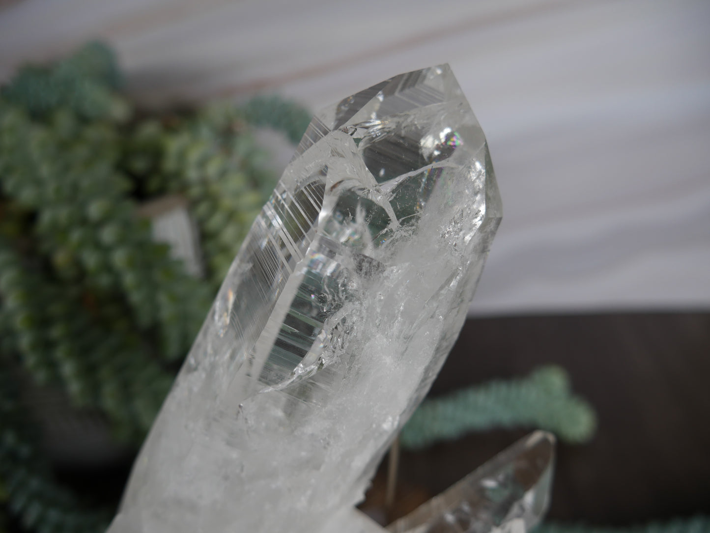 Columbian Lemurian Statement Piece