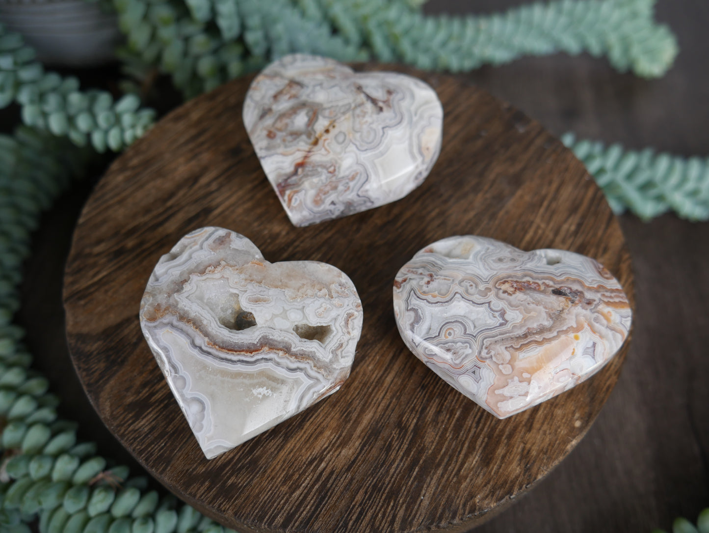 Mexican Crazy Lace Agate Heart [various]