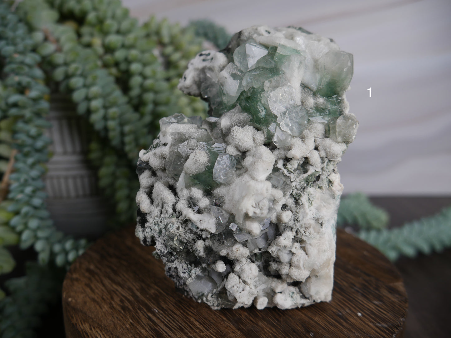 Marshy Green Apophyllite [various]