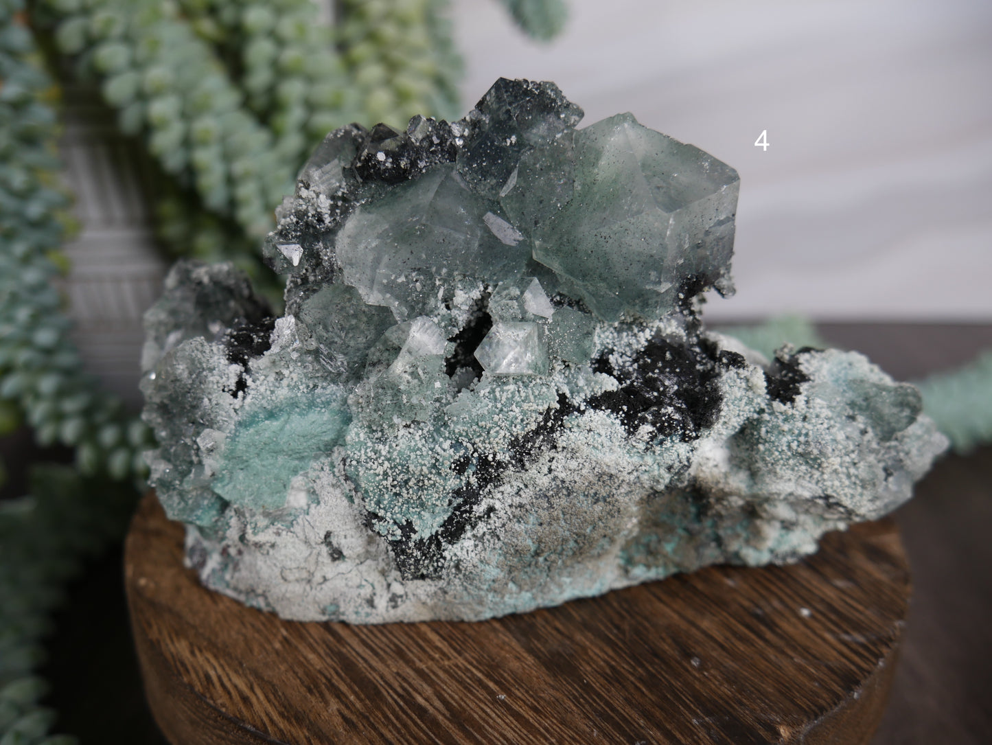 Marshy Green Apophyllite [various]