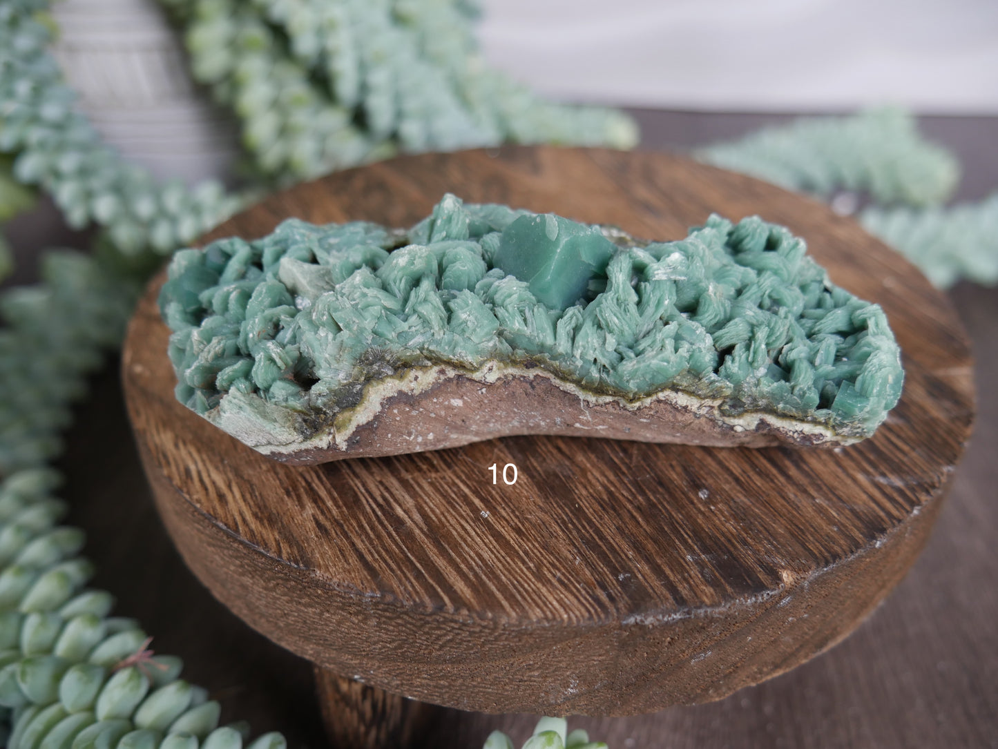 Marshy Green Apophyllite [various]