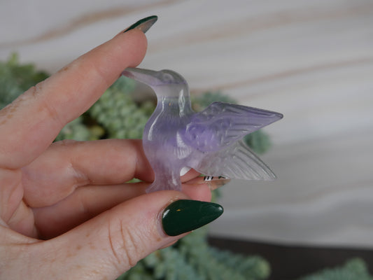 Fluorite Hummingbird