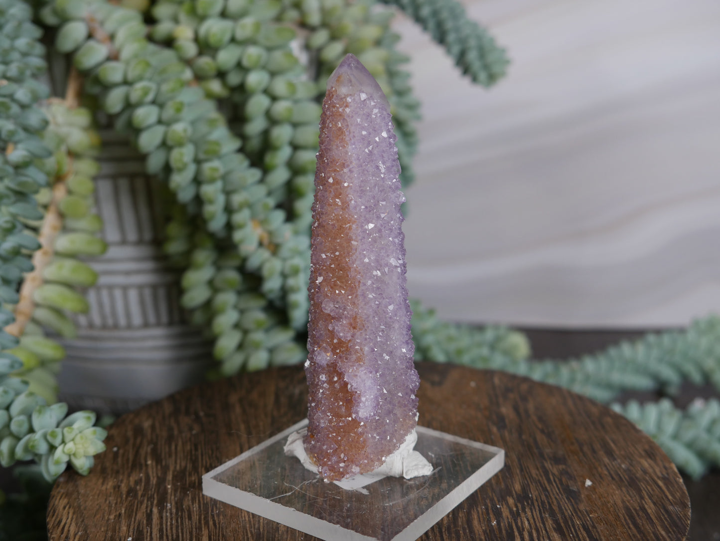 Spirit Cactus Quartz #8