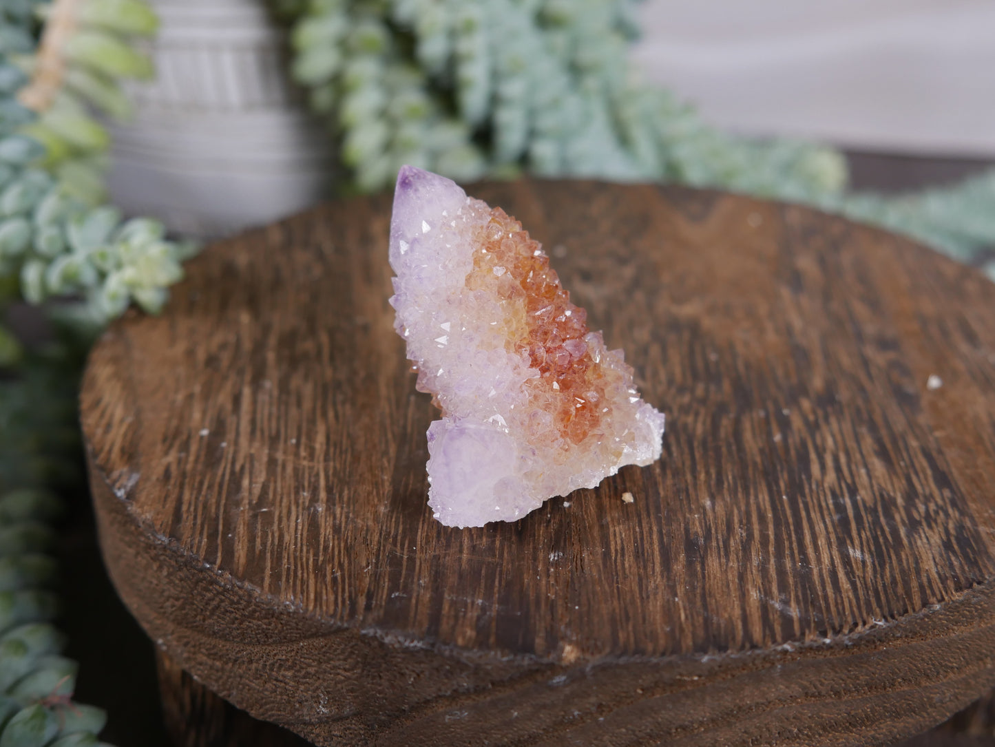 Spirit Cactus Quartz #7