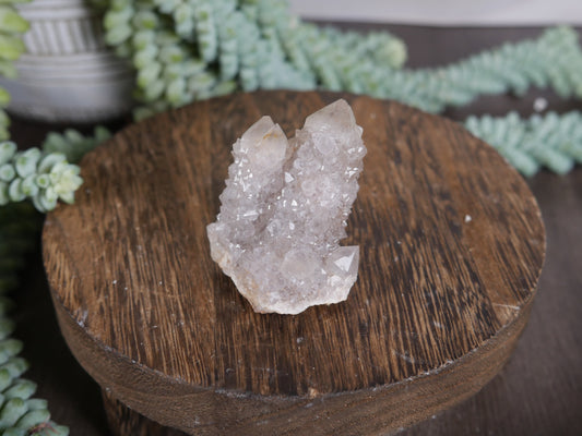 Spirit Cactus Quartz #12