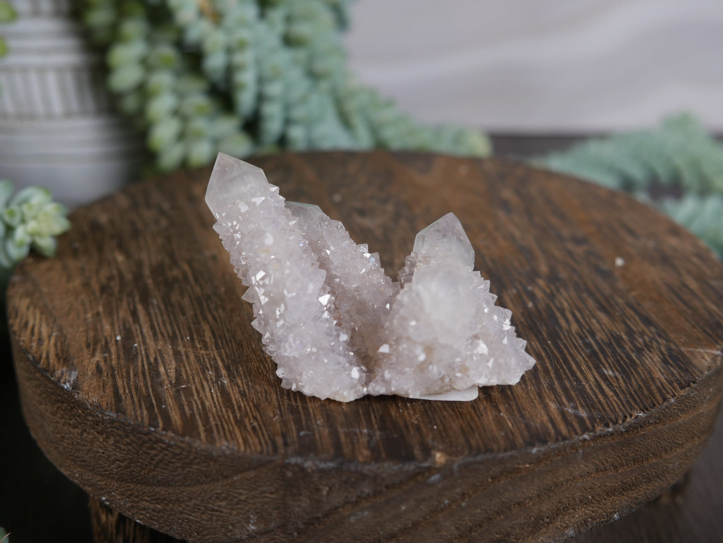 Spirit Cactus Quartz #13