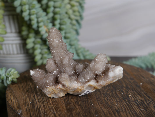 Spirit Cactus Quartz #22