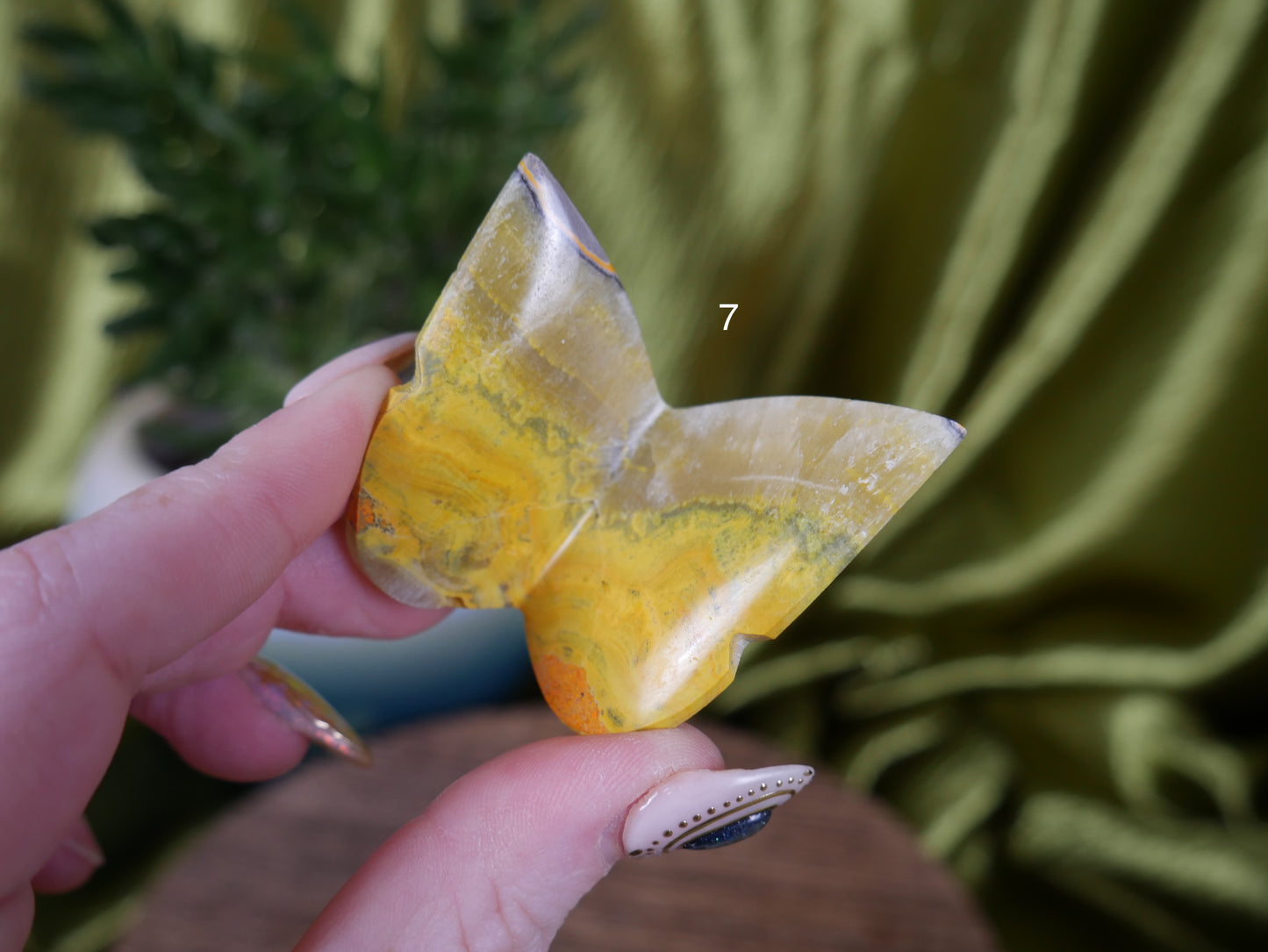 Bumblebee Jasper 3D Butterfly [various]