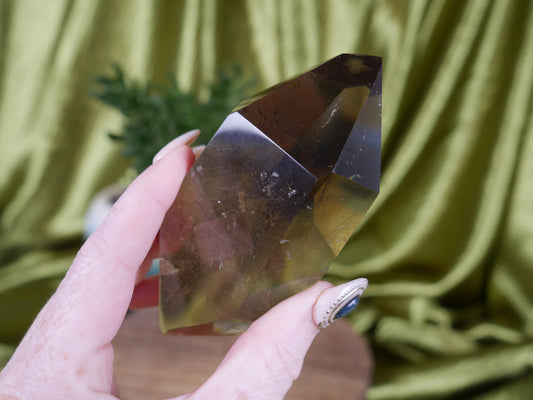 Smokey Quartz w/ Golden Rutile #10