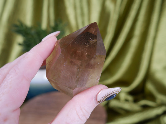 Smokey Quartz w/ Golden Rutile #17