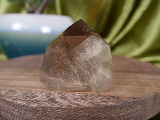 Smokey Quartz w/ Golden Rutile #19