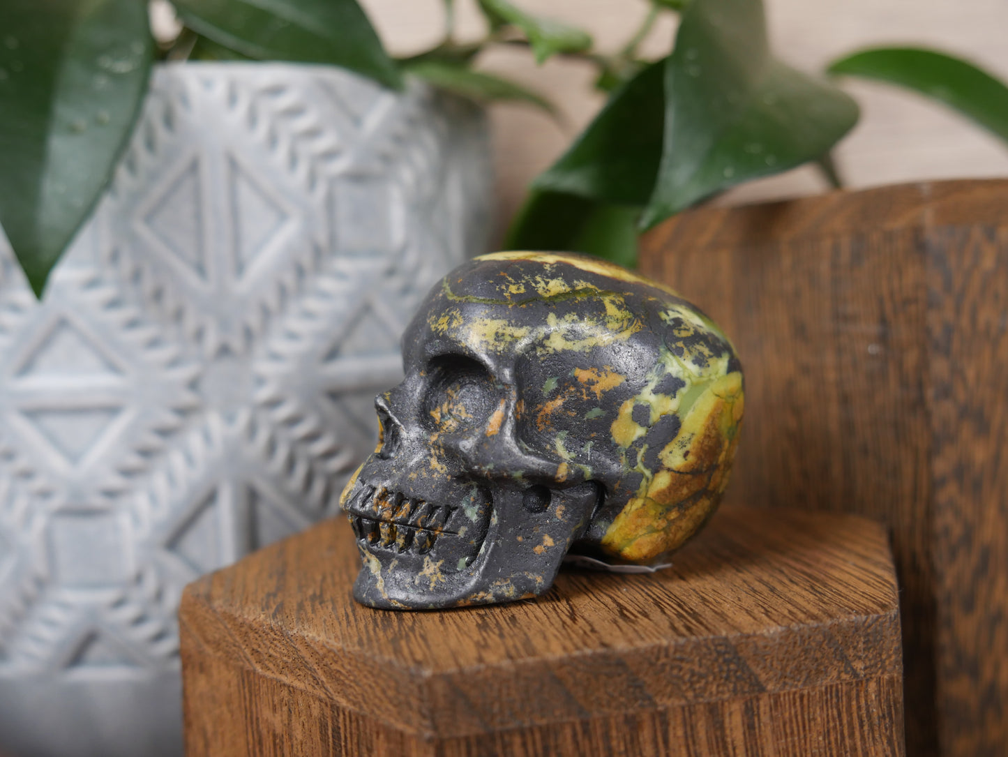 Hiso Jasper Skull