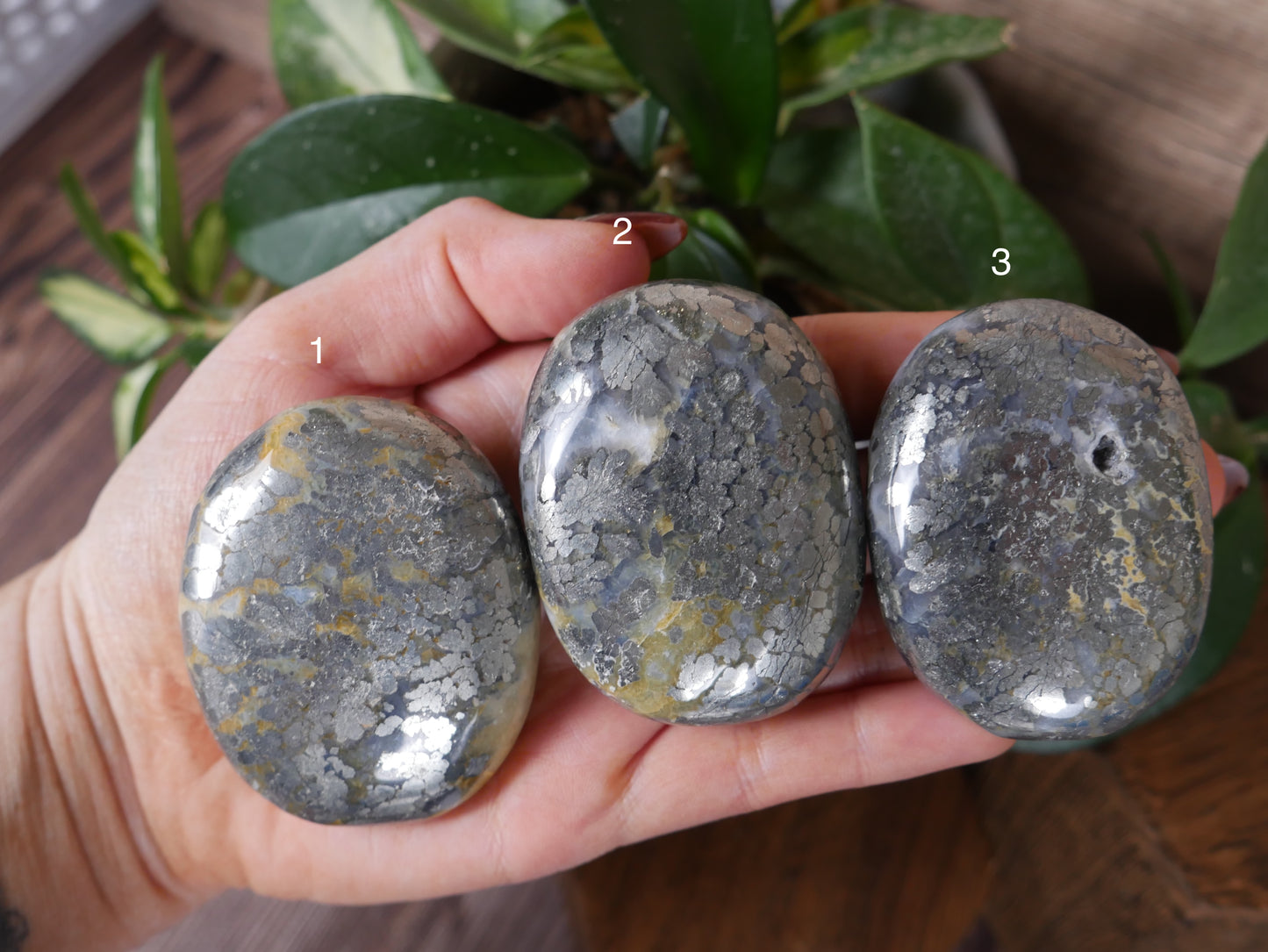 Marcasite Palm Stone [various]