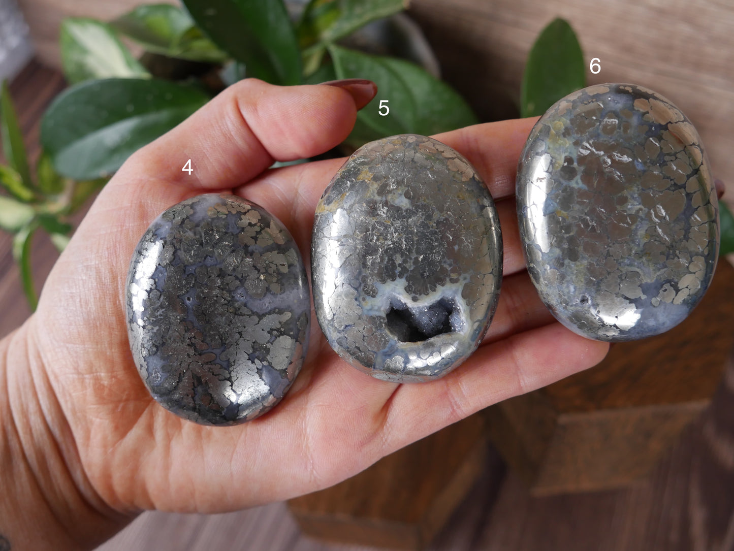 Marcasite Palm Stone [various]