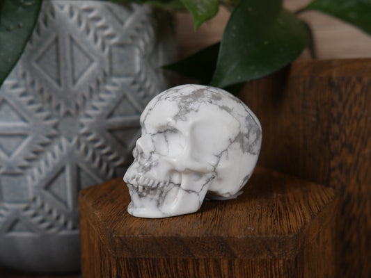 Howlite Skull