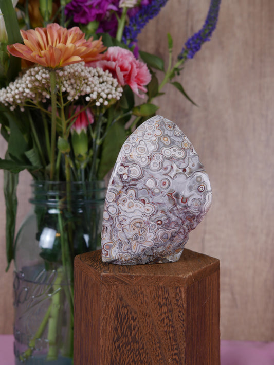 Crazy Lace Agate Freeform #1