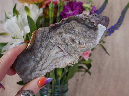 Crazy Lace Agate Slab #1