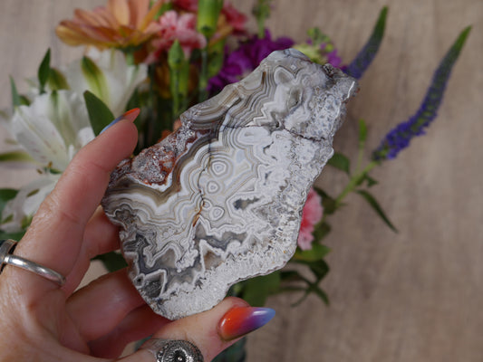 Crazy Lace Agate Slab #2