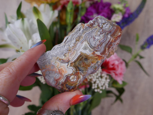 Crazy Lace Agate Slab #3