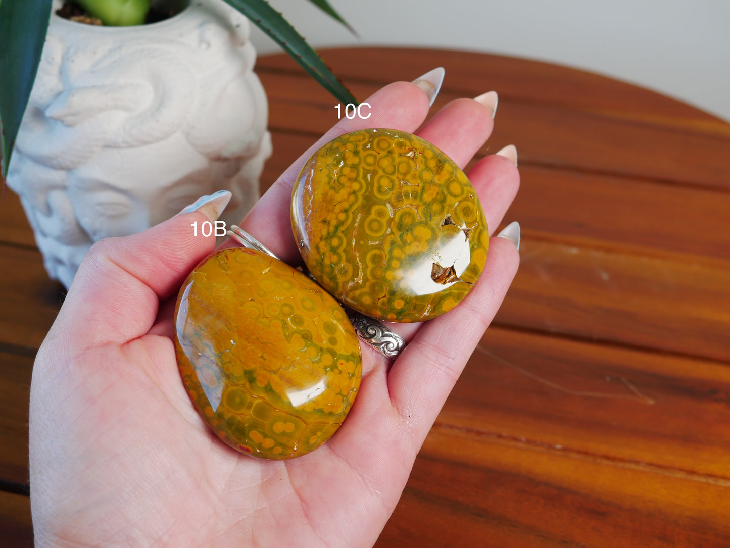 Kabamby Ocean Jasper Palm Stone [various]