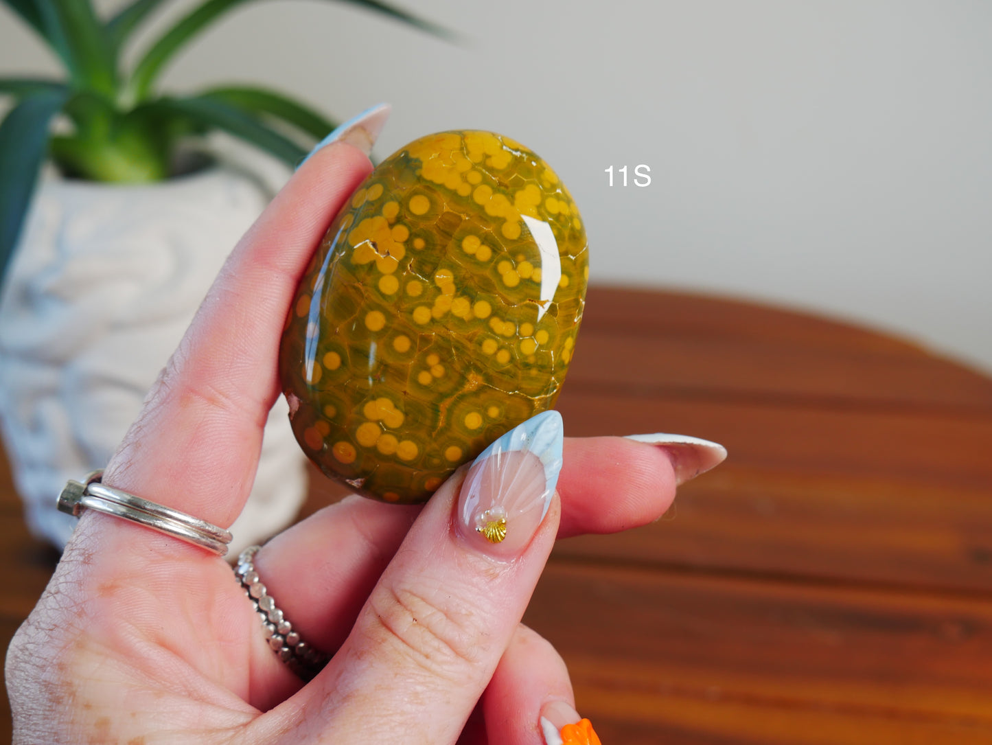 Kabamby Ocean Jasper Palm Stone [various]